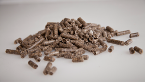 beet pulp pellets