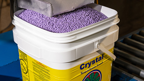 2022 Purple Beet Seed